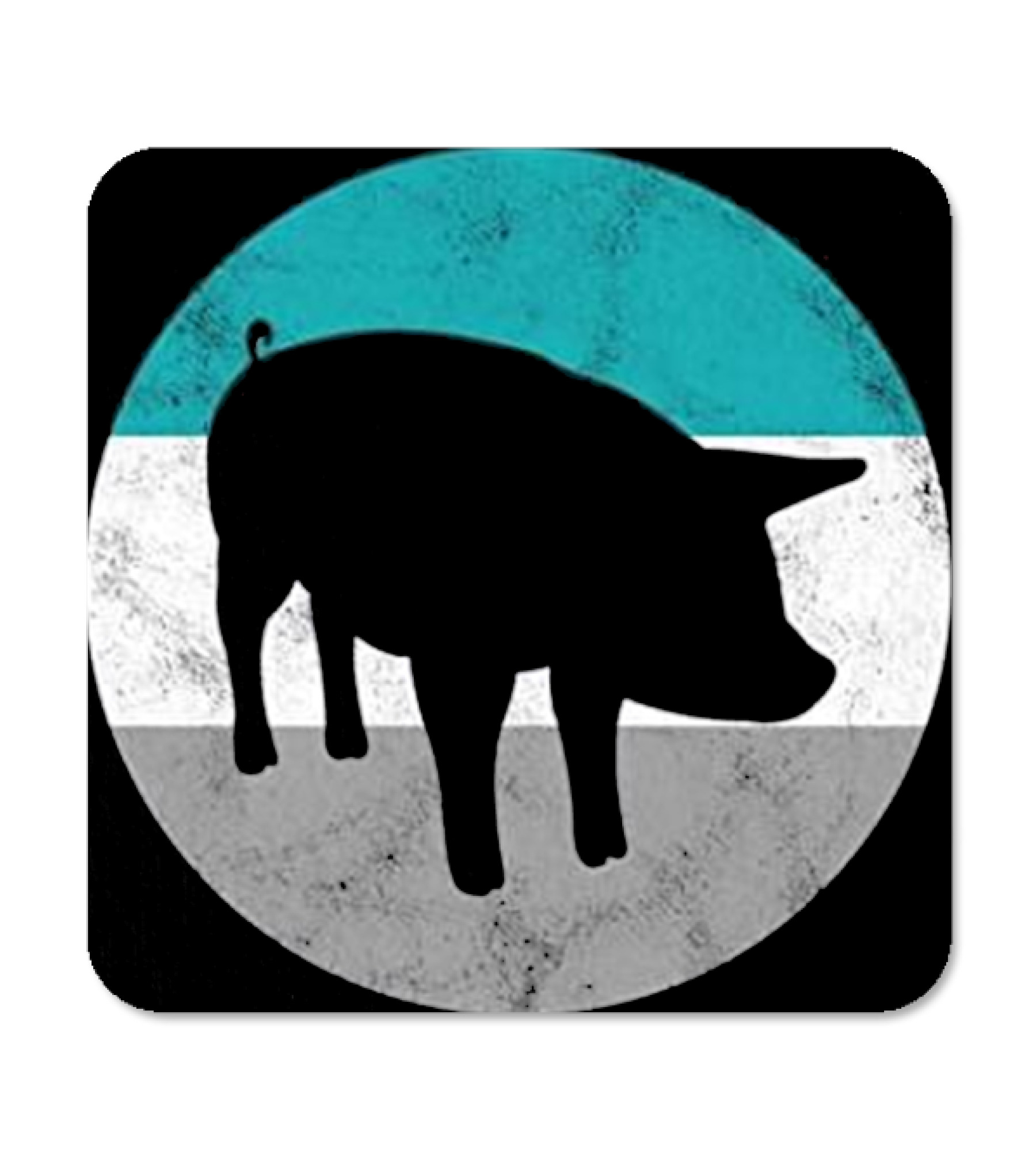 Pig Gift For Men Women & Teens Coaster