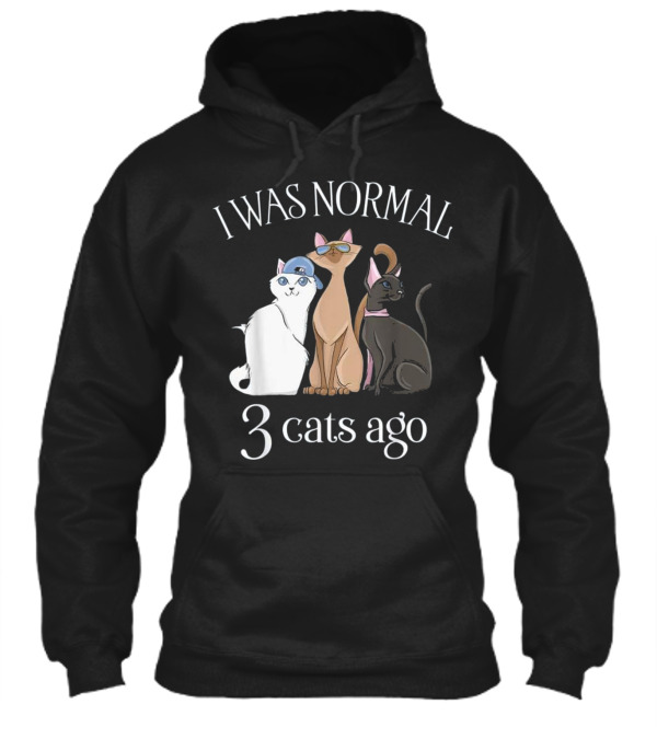 I Was Normal 3 Cats Ago T Cat Mom Dad Hoodie I Was Normal 3 Cats Ago T Cat Mom Dad Hoodie