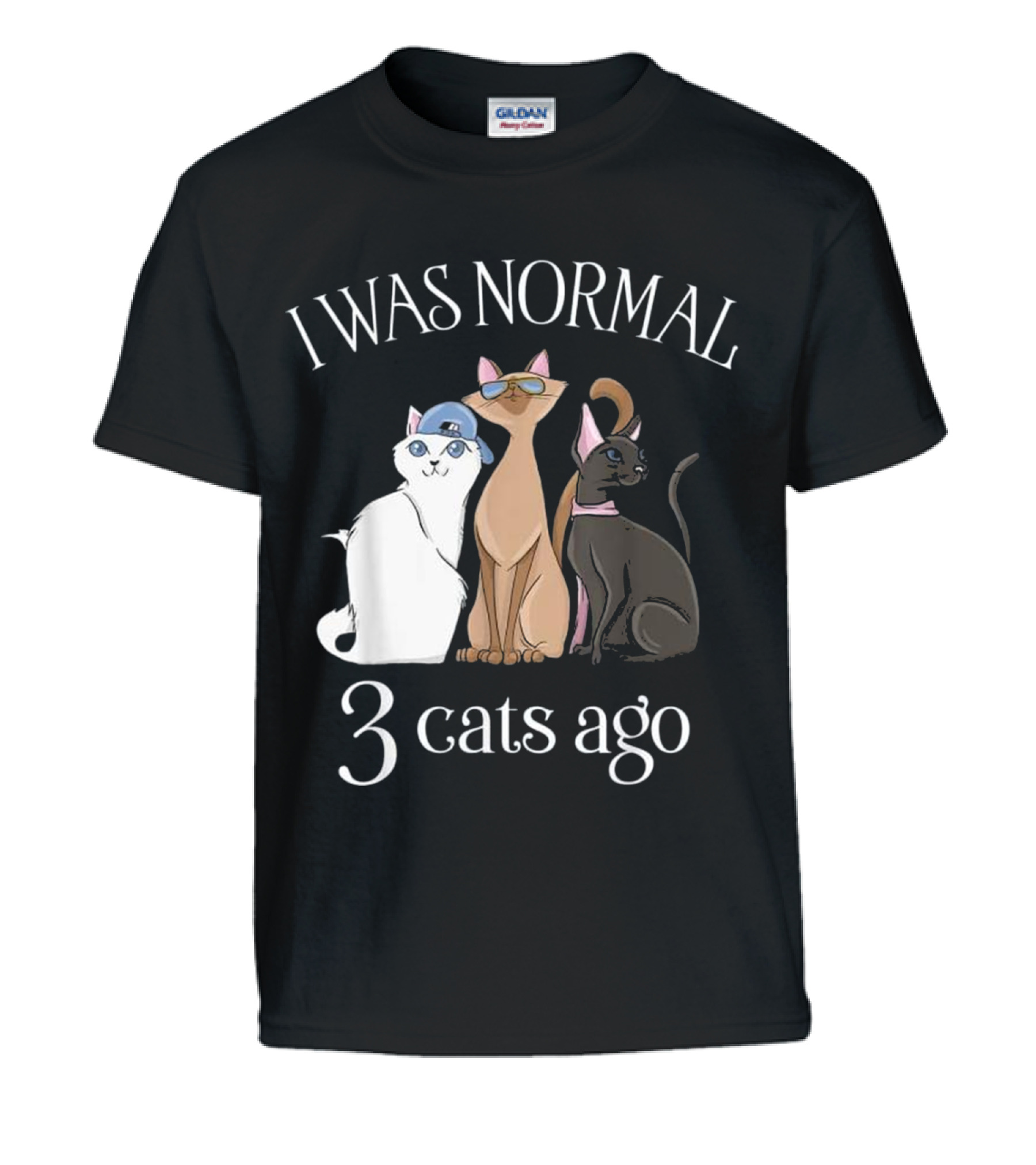 I Was Normal 3 Cats Ago T Cat Mom Dad Kids T-Shirt