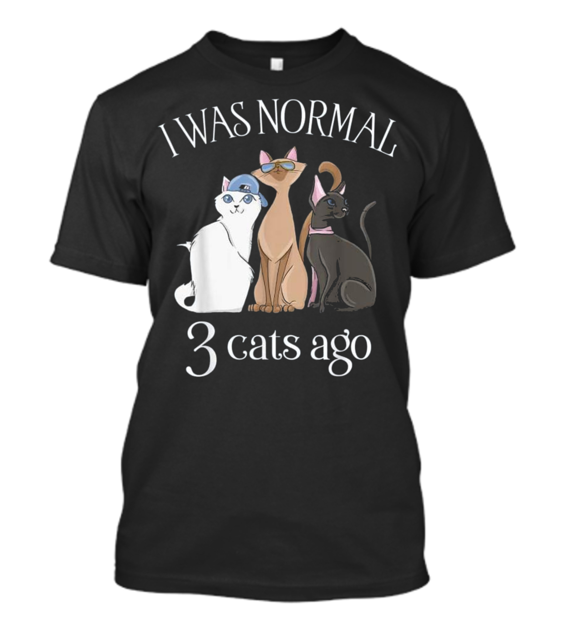 I Was Normal 3 Cats Ago T...T-Shirt 