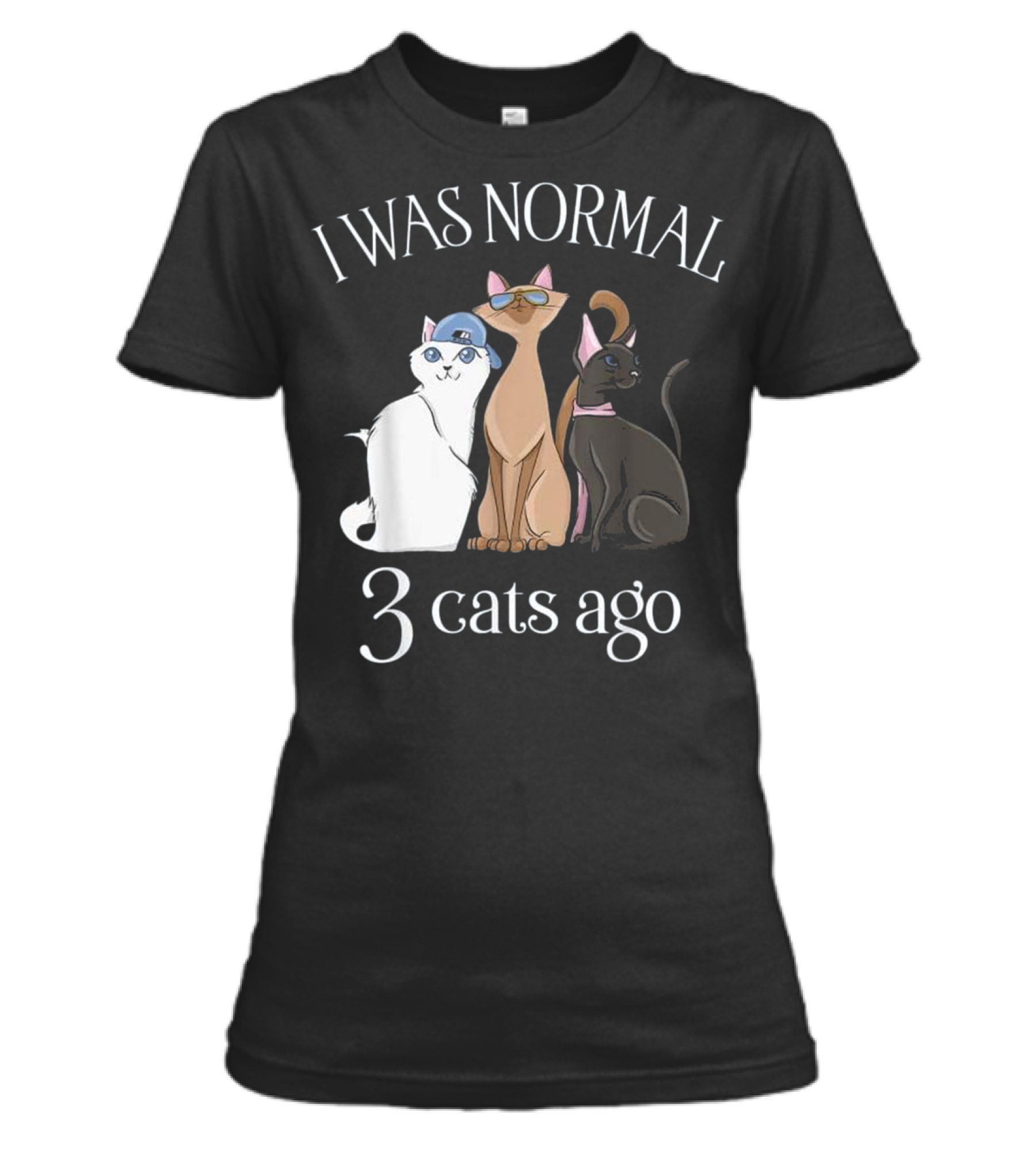 I Was Normal 3 Cats Ago T Cat Mom Dad Womens T-Shirt